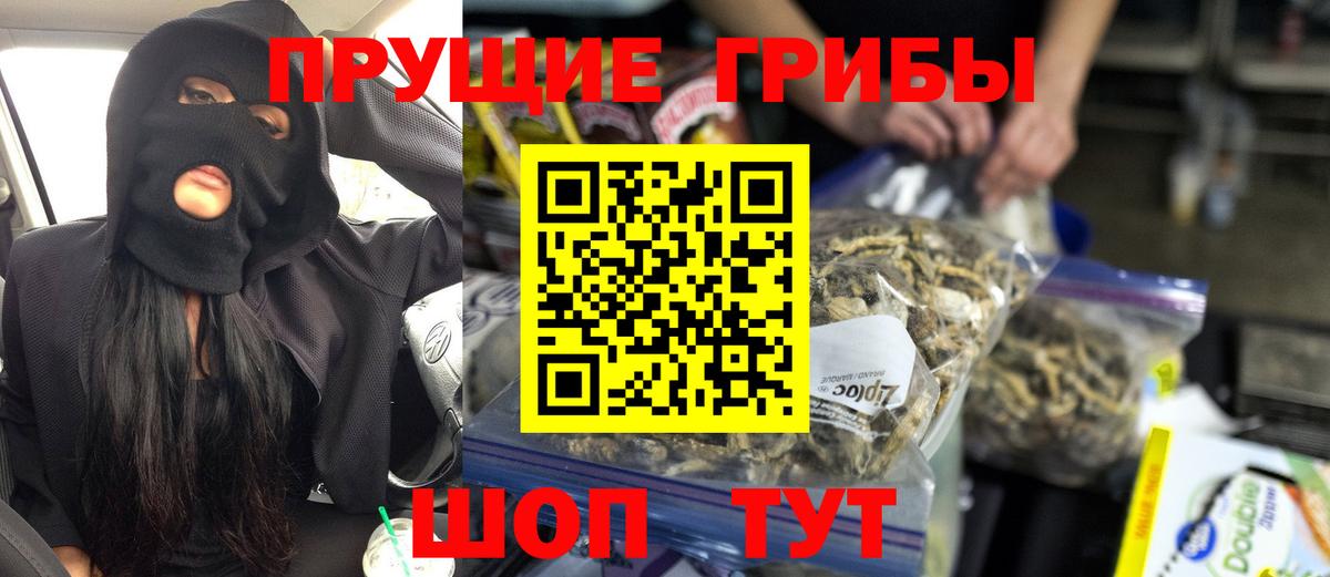 Галлюциногенные грибы Cubensis Малгобек
