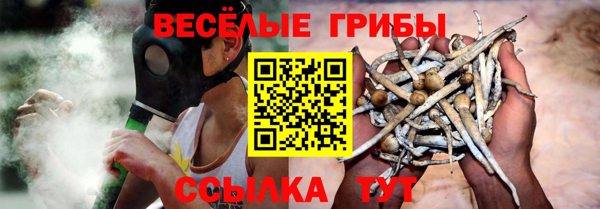 Псилоцибиновые грибы ЛСД  Вход с VPN  цены наркотик  Малгобек 